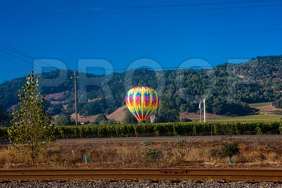 20080904_DVD25_DG_USA_Los_Olivos_CA_20080904_DVD25_DG_USA_Napa_CA_4689_full_blead