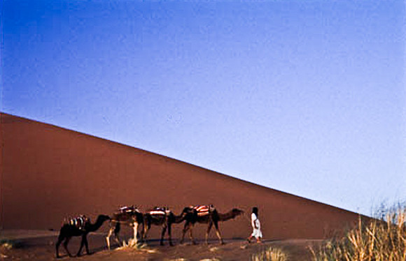 3208_SL_COLOR_MERZOUGA_SHAHARA_MAROCCO_II_1998_5