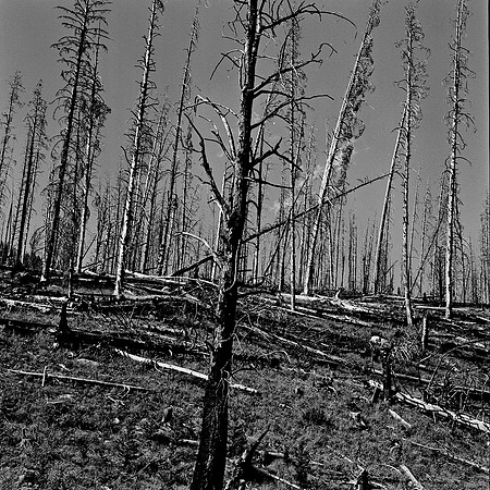 7550_B4P3_BW_LOS_ANGELES_CA_01_4.jpg