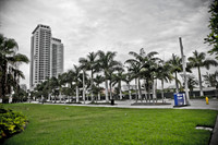 4925_DG_Midtown_Art_Basel_2010_Miami_FL_ZV4N0030