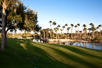 0031_La_Arizona_5L8Y5080