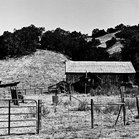 6036_FM_BW_PASO_ROBLES_CA_05_3.jpg