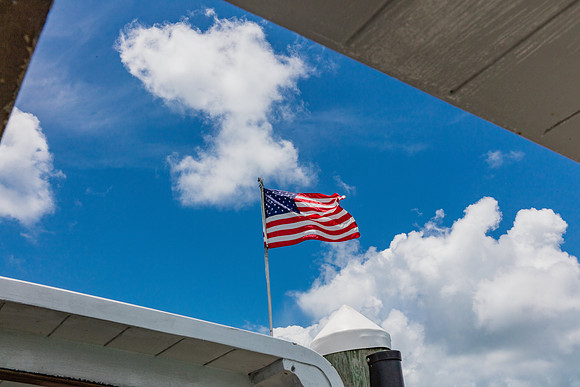 20160714_Key_West_Little_Palm__75A0637