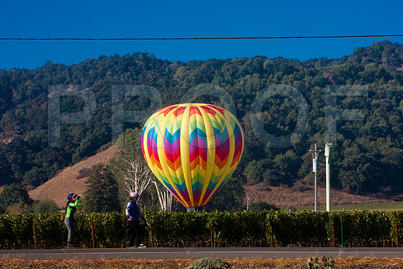 20080904_DVD25_DG_USA_Los_Olivos_CA_20080904_DVD25_DG_USA_Napa_CA_4693_full_blead