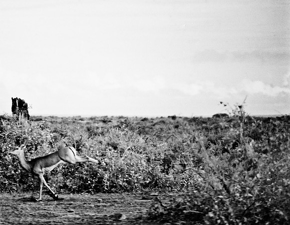 B3_82009_BW_194_New_Masai_Africa_89_16