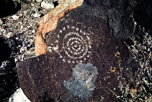 47899_B16_SL_COLOR_TREE_RIVER_PETROGLYTH_NAT_RES_NAT_MNT_HWY LOOP20_NM_97_0808.jpg