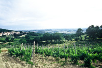 37341_SL_COLOR_ITALY_2000_3