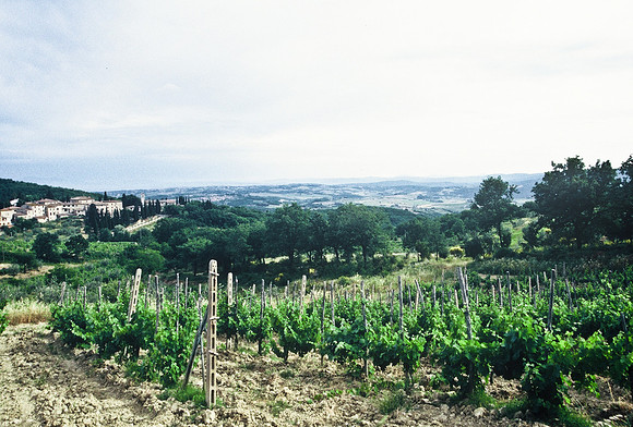 37341_SL_COLOR_ITALY_2000_3