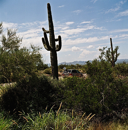 6016_FM_COLOR_TUCSON_AZ_05_4.jpg