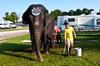 42588_Circus_Miami__Park__IMG_6279