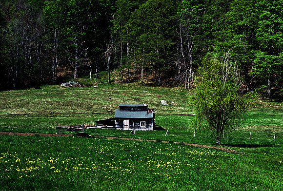 64036_B1_SL_COLOR_UP STATE_NY_86_04.jpg