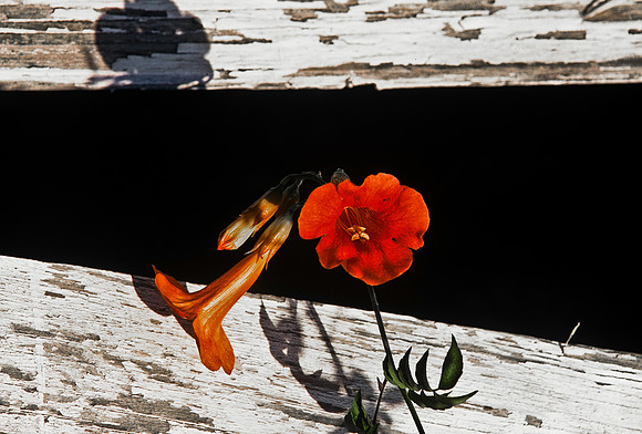 47415_B4_SL_COLOR_US_TOUR_NC_VALDOSA_GA_97_13.jpg