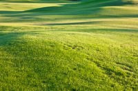 0031_La_Arizona_5L8Y5087