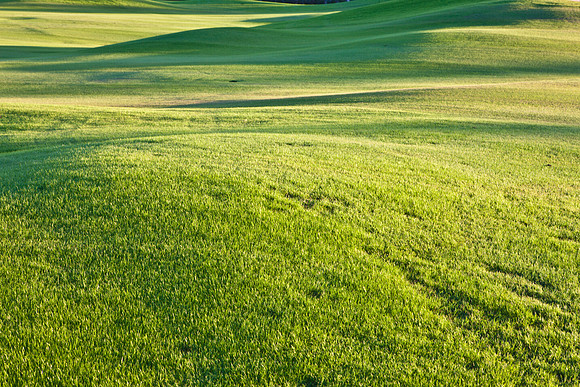 0031_La_Arizona_5L8Y5087