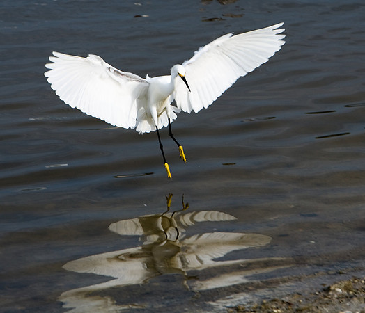 85546_ZV4N_7204_Miami_To_Sanibel_Island_FL_USA