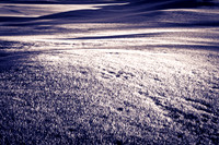 0031_La_Arizona_5L8Y5086-2