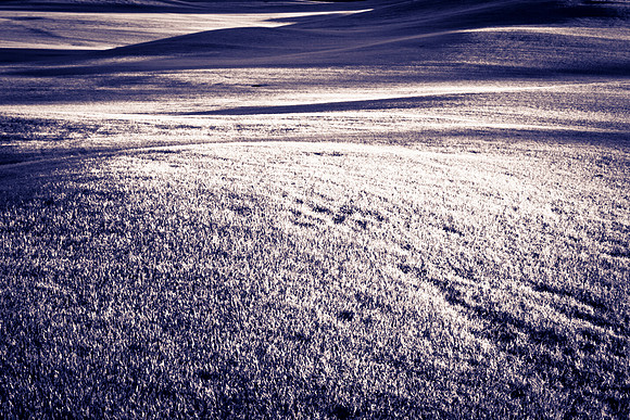 0031_La_Arizona_5L8Y5086-2