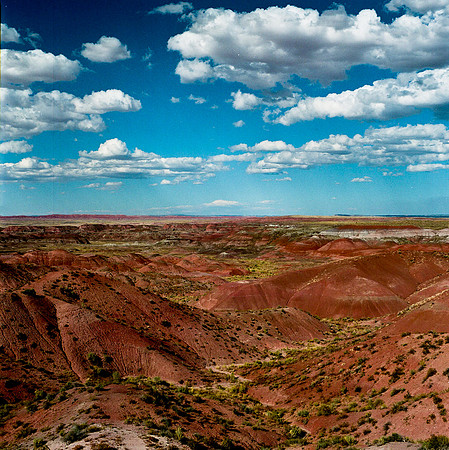 6142_COLOR_SQ_PAINTED_DESERT_AZ_USA_05_7.JPG