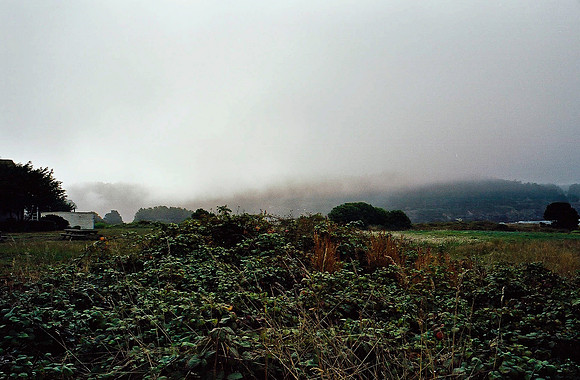 6047_COLOR_NAPA_TO_MENDOCINO_CALIFORNIA_USA_05_8.jpg