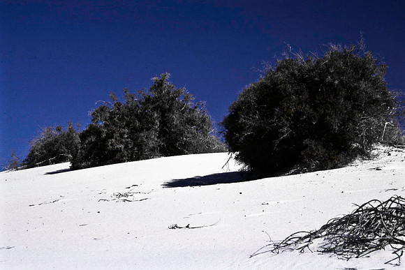 47896_B16_SL_COLOR_LA_MESILLA0_TO_WHITE_SOUNDS_NAT_MNY_HWY20_NM_97_1111.jpg