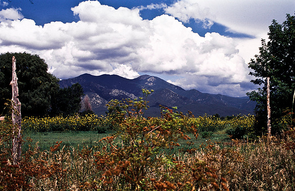 37866_B15_SL_COLOR_TAOS_NM_97_11.jpg