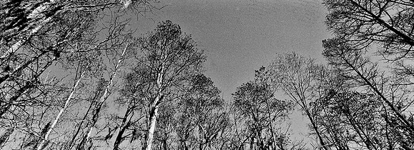 7749_FL_BW_LOUISIANA_01_19.jpg