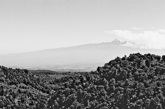 B3_82008_BW_194_New_Amboseli_Africa_89_19
