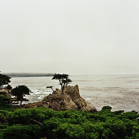 2369_FM_COLOR_CARMEL_CA_02_2.jpg