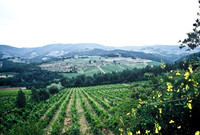 37339_SL_COLOR_ITALY_2000_5