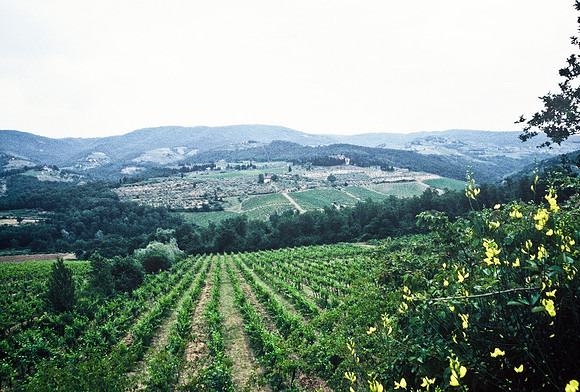 37339_SL_COLOR_ITALY_2000_5