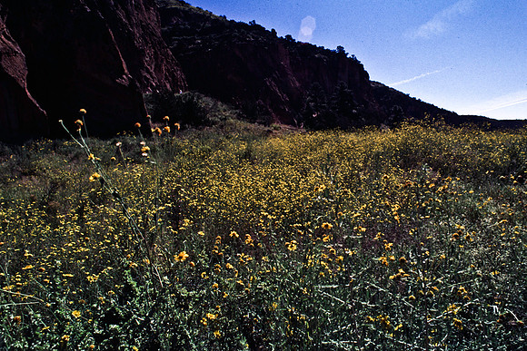 37876_B15_SL_COLOR_TAOS_TO_EMBUDA_TO_BANDELIER_NM_97_07.jpg