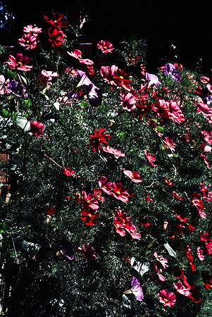 47774_B13_SL_COLOR_SANTA_FE_NEW MEXICO_97.jpg