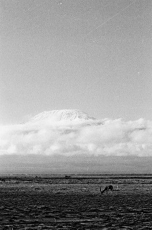 B3_82005_BW_194_New_Masa_Mara_Africa_89_16