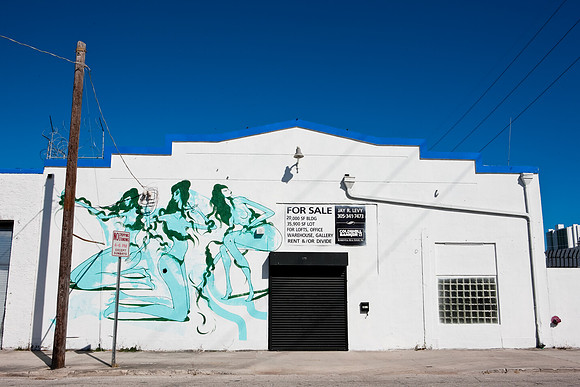 2607_Litlle_Haity_Miami_Avenue_20090307-5L8Y2258