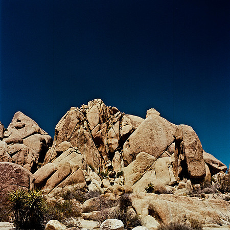 2334_FM_COLOR_JOSHUA_TREE_CA_02_2.jpg