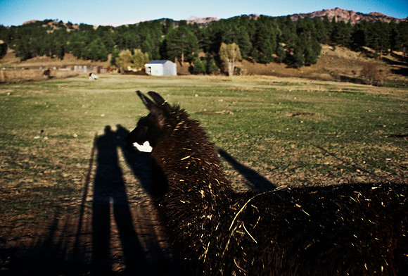 47457_B5_SL_COLOR_CRIPPLE_CREEK_HWY7_TO_FLORISSANT_COLORADO_WY_97_09.jpg