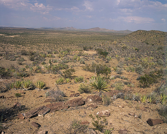 4000_20080719_ADS_Mexican_Landscape_Mexico_P059