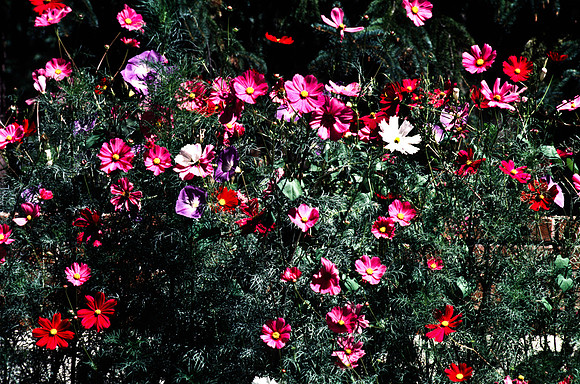 47774_B13_SL_COLOR_SANTA_FE_NEW MEXICO_97_7.jpg