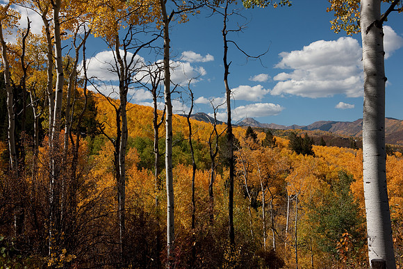 20080829_DVD15_DG_USA_Aspen_2092_full_blead
