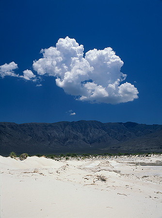 4000_20080719_ADS_Mexican_Landscape_Mexico_196