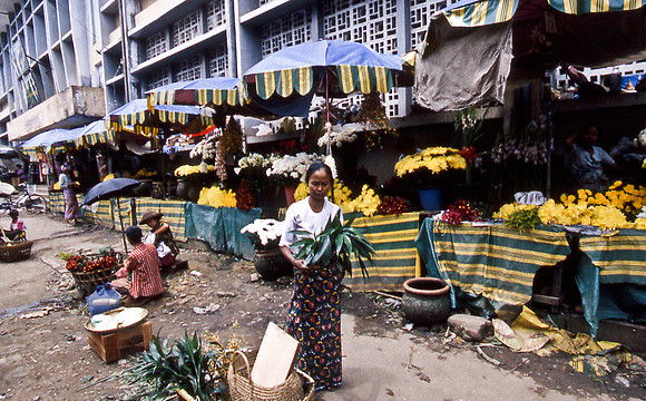 3484_SL_COLOR_AROUND_THE_WORLD_IN_8_MONTHS_APRIL_2000_9