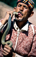 3239_SL_COLOR_TAROUDANNT_MAROCCO_II_1998_16