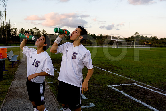 36204_DG_Color_USA_Osceola_County_Celebration_Town_FLZV4N7974