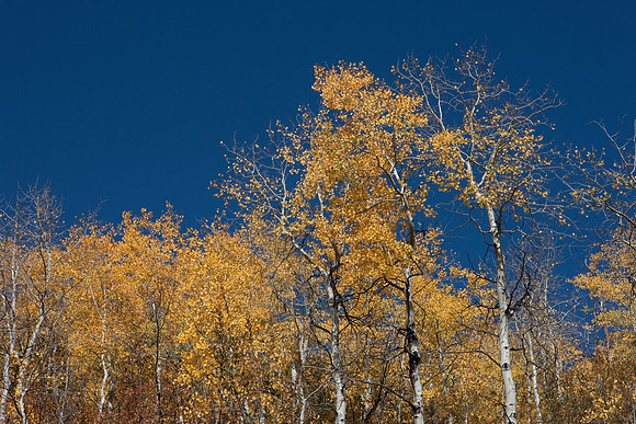 20080828_DVD9_DG_From_Glenwood_Spring_to_Aspen_CO_1992_full_blead