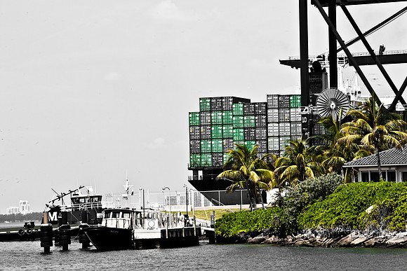 3037_Miami_2008_5L8Y9478