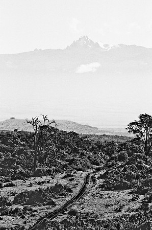 B3_82008_BW_194_New_Amboseli_Africa_89_14