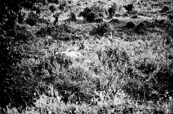 B3_82002_BW_194_New_Masai-Ballon_Africa_89_3