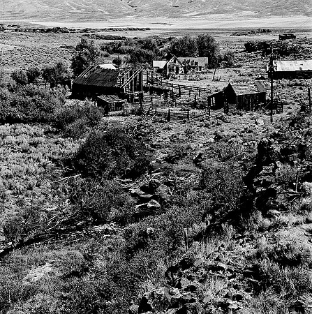 7566_FILM_BW_01_LR_SALMON_USA_ID_2.jpg