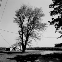 7529_B3P1_8_BW_SQ_KENTUCKY_USA_01.jpg
