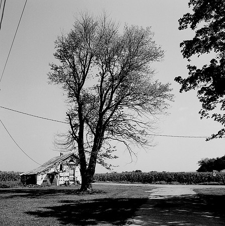 7529_B3P1_8_BW_SQ_KENTUCKY_USA_01.jpg